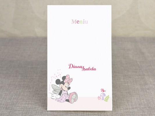 meniu botez Disney 3708